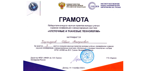 конференция